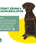 TOPDOG Chicken-Donut Dental Care – Kausnack für Hunde (Rinderhaut mit Hühnerbrustfilet, zuckerfrei)