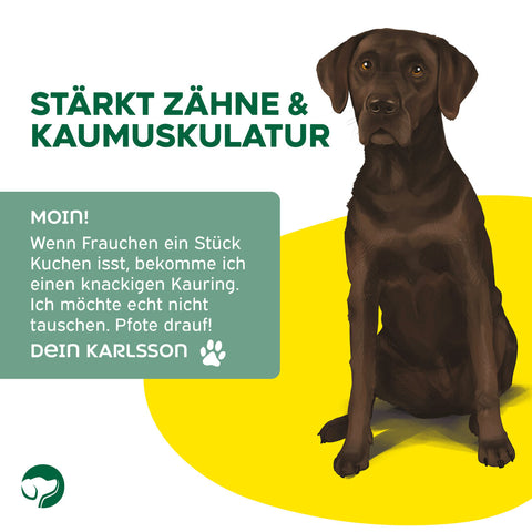 TOPDOG Chicken-Donut Dental Care – Kausnack für Hunde (Rinderhaut mit Hühnerbrustfilet, zuckerfrei)