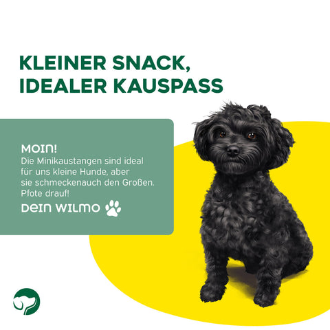 TOPDOG Kaustange mit Huhn Mini – Kausnack für kleine Hunde (70 g, zuckerfrei, getreidefrei)