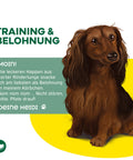 TOPDOG Leberwurstleckerlis – Trainingssnack für Hunde (80 g, aus eigener Herstellung)