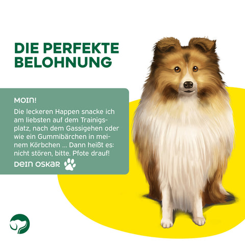 TOPDOG Lobhappen Rinderlunge – Trainingssnack für Hunde (70 g, 100 % Rinderlunge)