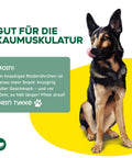 TOPDOG Rinderohren naturbelassen – Naturkauartikel für Hunde (ohne Zusatzstoffe)