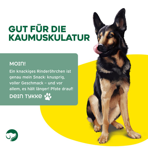 TOPDOG Rinderohren naturbelassen – Naturkauartikel für Hunde (ohne Zusatzstoffe)