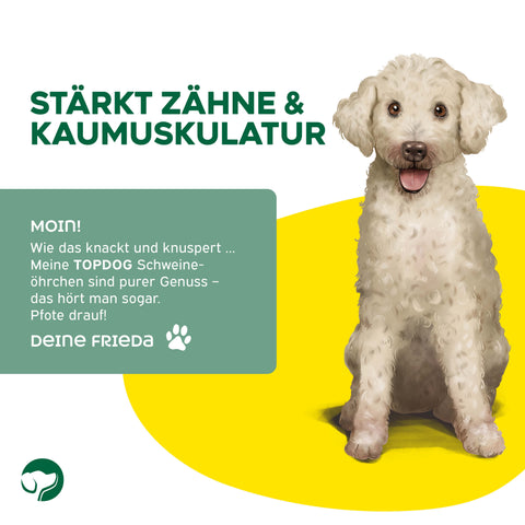 TOPDOG Schweineohren – Naturkauartikel aus eigener Herstellung (ohne Zusatzstoffe)