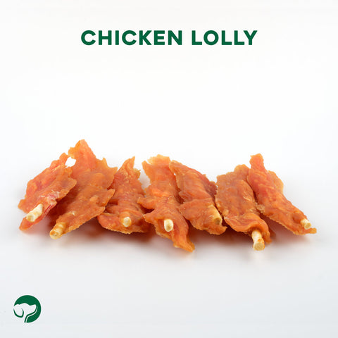 TOPDOG Chicken-Lolly Dental Care – Kausnack für Hunde (250 g, zuckerfrei)