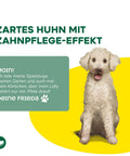 TOPDOG Chicken-Lolly Dental Care – Kausnack für Hunde (250 g, zuckerfrei)