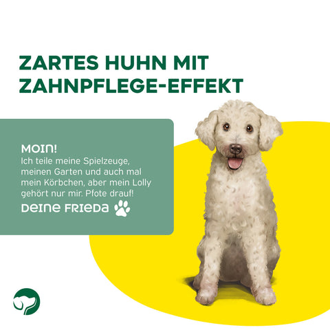TOPDOG Chicken-Lolly Dental Care – Kausnack für Hunde (250 g, zuckerfrei)