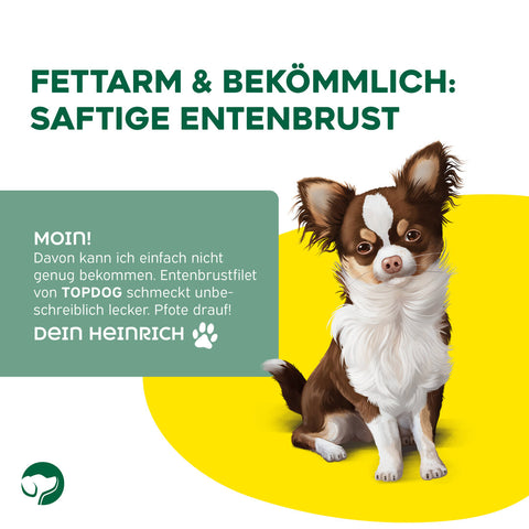TOPDOG Entenbrustfilet in Streifen – Trainingssnack für Hunde (80 g, 96,8 % Ente)