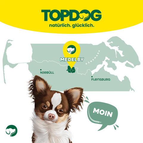 TOPDOG Entenbrustfilet in Streifen – Trainingssnack für Hunde (80 g, 96,8 % Ente)