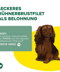 TOPDOG Hühnerbrustfilet in Streifen – Trainingssnack für Hunde (80 g, 96,8 % Huhn)