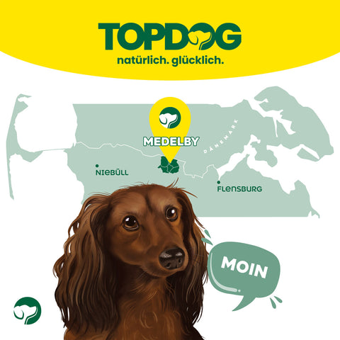 TOPDOG Hühnerbrustfilet in Streifen – Trainingssnack für Hunde (80 g, 96,8 % Huhn)
