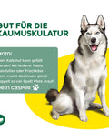TOPDOG Kalbshufe – Naturkauartikel für Hunde (aus Deutschland, ohne Zusatzstoffe)