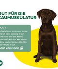 TOPDOG Ochsenziemer 12 cm – Naturkauartikel für Hunde (ohne Zusatzstoffe)
