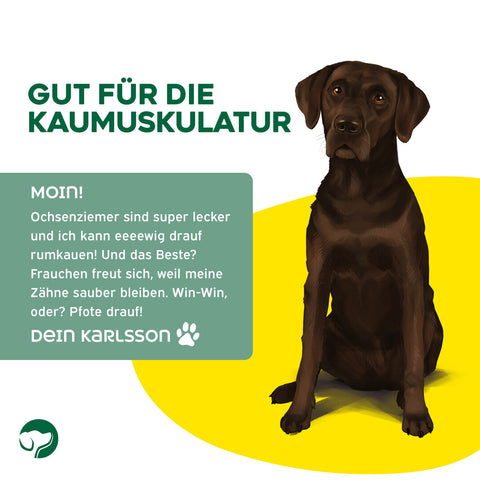 TOPDOG Ochsenziemer 12 cm – Naturkauartikel für Hunde (ohne Zusatzstoffe)