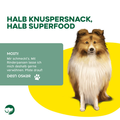 TOPDOG Rinderpansen getrocknet – Naturkauartikel für Hunde (1 kg, ohne Zusatzstoffe)