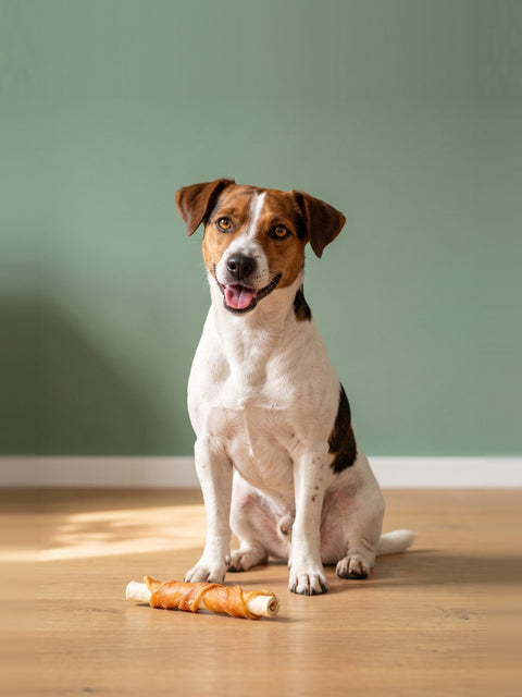 Kausnacks für mittelgroße Hunde
